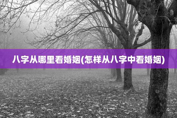 八字从哪里看婚姻(怎样从八字中看婚姻)