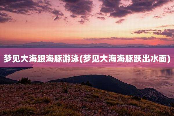 梦见大海跟海豚游泳(梦见大海海豚跃出水面)