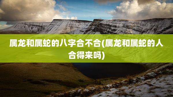 属龙和属蛇的八字合不合(属龙和属蛇的人合得来吗)