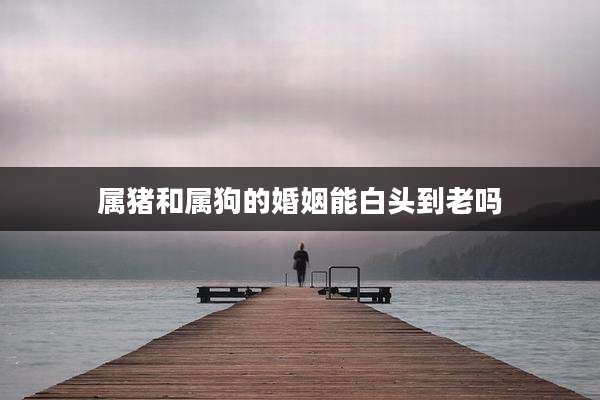 属猪和属狗的婚姻能白头到老吗