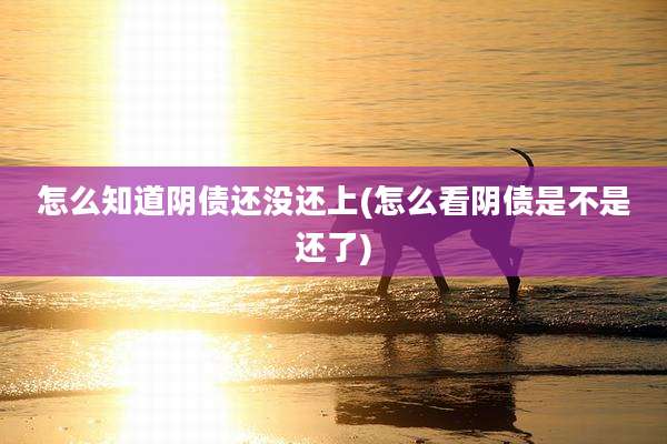 怎么知道阴债还没还上(怎么看阴债是不是还了)