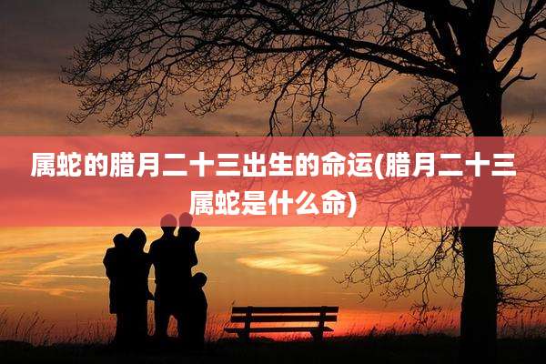属蛇的腊月二十三出生的命运(腊月二十三属蛇是什么命)
