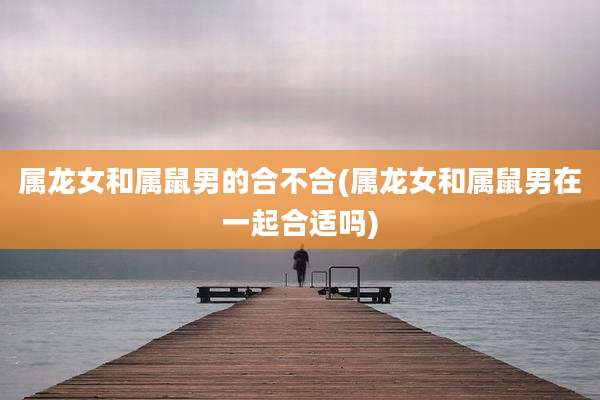 属龙女和属鼠男的合不合(属龙女和属鼠男在一起合适吗)