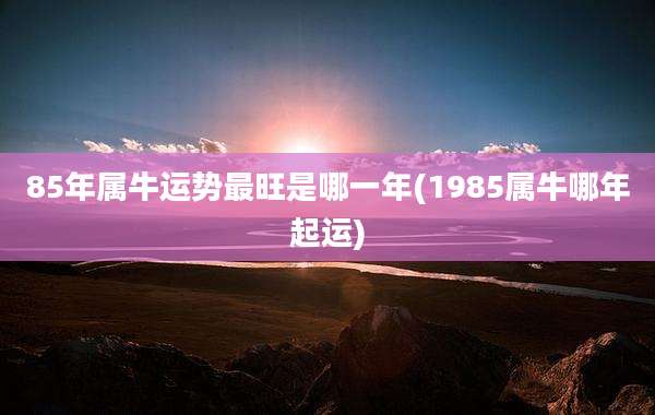 85年属牛运势最旺是哪一年(1985属牛哪年起运)