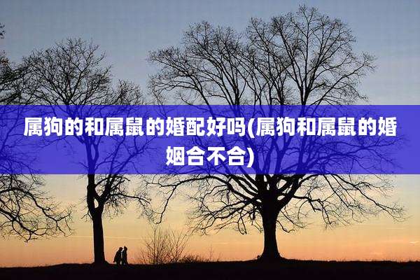 属狗的和属鼠的婚配好吗(属狗和属鼠的婚姻合不合)