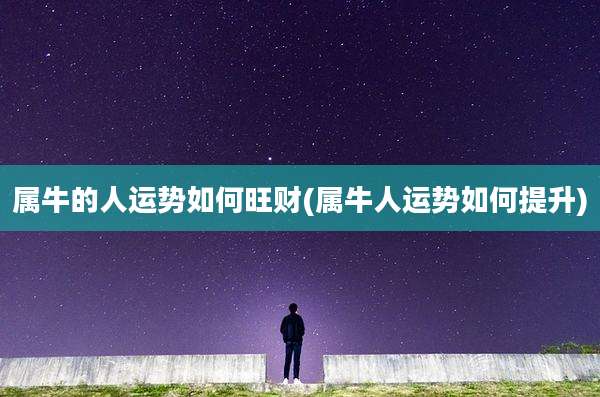 属牛的人运势如何旺财(属牛人运势如何提升)