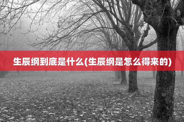 生辰纲到底是什么(生辰纲是怎么得来的)