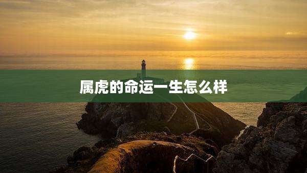 属虎的命运一生怎么样