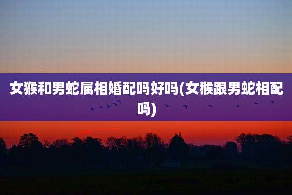 女猴和男蛇属相婚配吗好吗(女猴跟男蛇相配吗)