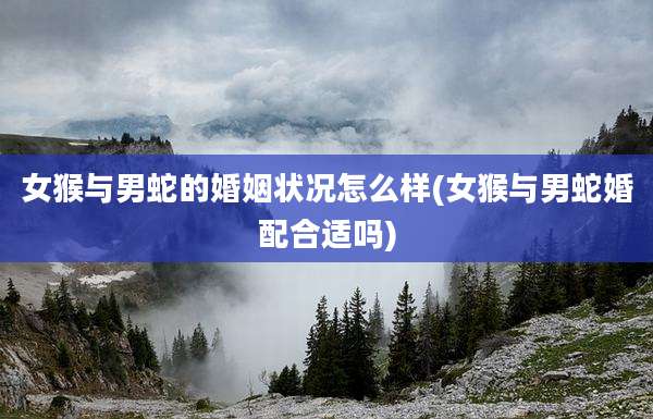 女猴与男蛇的婚姻状况怎么样(女猴与男蛇婚配合适吗)