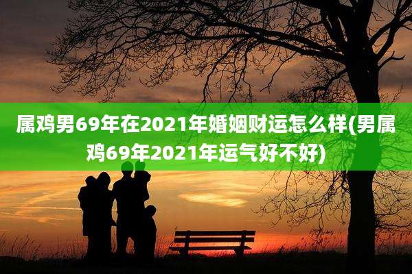 属鸡男69年在2021年婚姻财运怎么样(男属鸡69年2021年运气好不好)