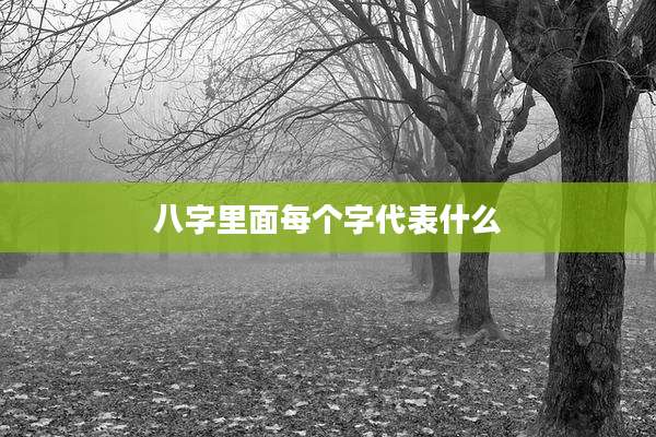 八字里面每个字代表什么