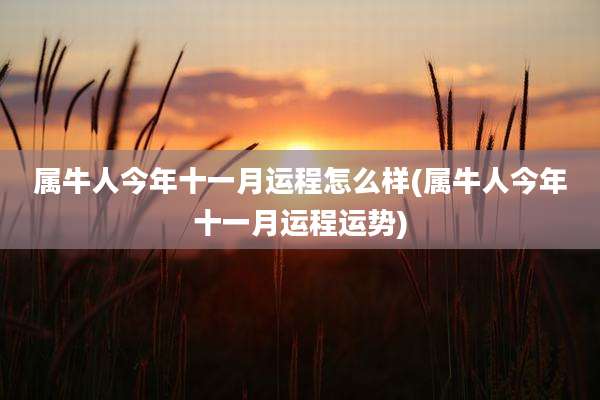 属牛人今年十一月运程怎么样(属牛人今年十一月运程运势)