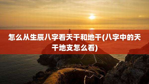 怎么从生辰八字看天干和地干(八字中的天干地支怎么看)