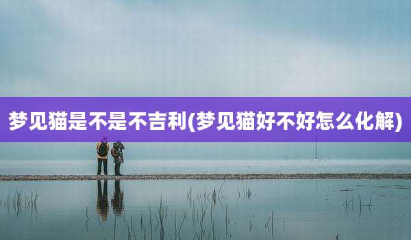 梦见猫是不是不吉利(梦见猫好不好怎么化解)
