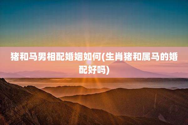 猪和马男相配婚姻如何(生肖猪和属马的婚配好吗)