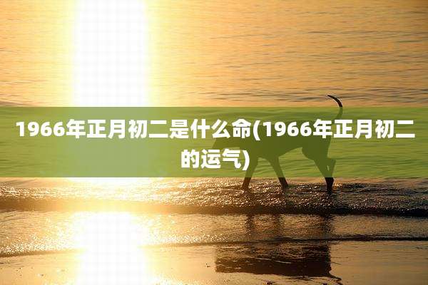 1966年正月初二是什么命(1966年正月初二的运气)