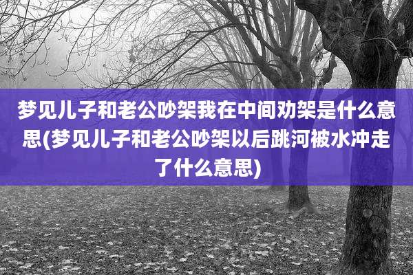 梦见儿子和老公吵架我在中间劝架是什么意思(梦见儿子和老公吵架以后跳河被水冲走了什么意思)