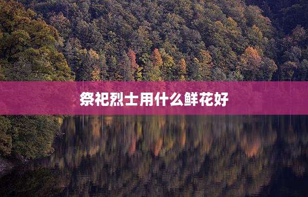 祭祀烈士用什么鲜花好
