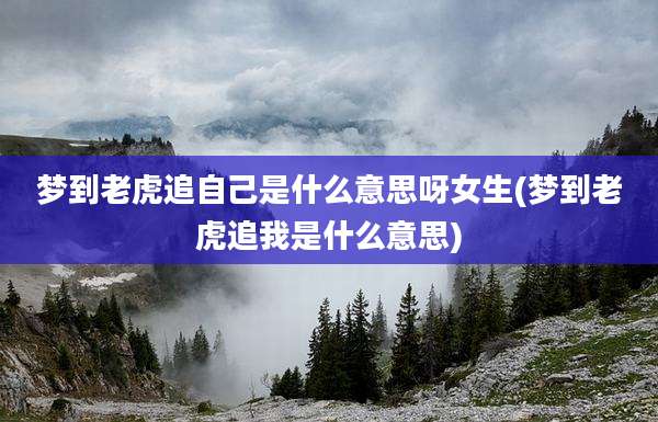 梦到老虎追自己是什么意思呀女生(梦到老虎追我是什么意思)