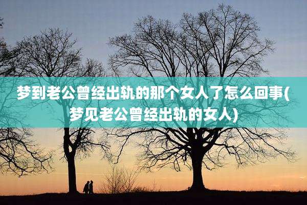 梦到老公曾经出轨的那个女人了怎么回事(梦见老公曾经出轨的女人)