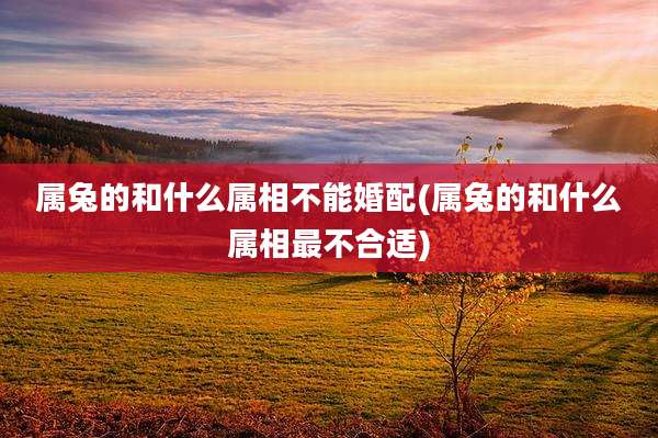 属兔的和什么属相不能婚配(属兔的和什么属相最不合适)