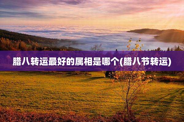 腊八转运最好的属相是哪个(腊八节转运)