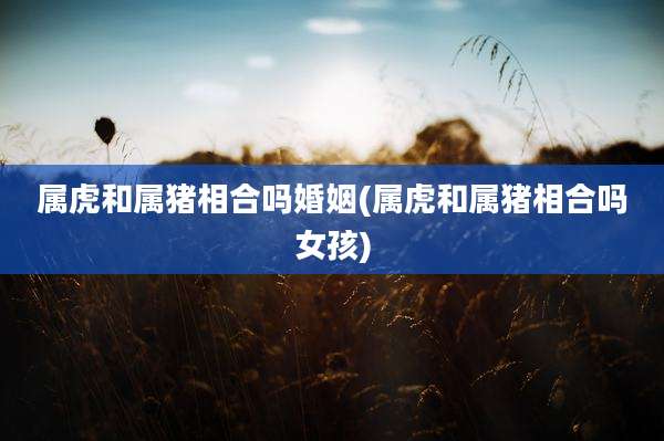 属虎和属猪相合吗婚姻(属虎和属猪相合吗女孩)