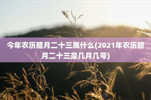今年农历腊月二十三属什么(2021年农历腊月二十三是几月几号)
