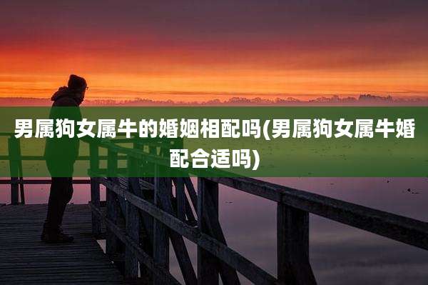 男属狗女属牛的婚姻相配吗(男属狗女属牛婚配合适吗)
