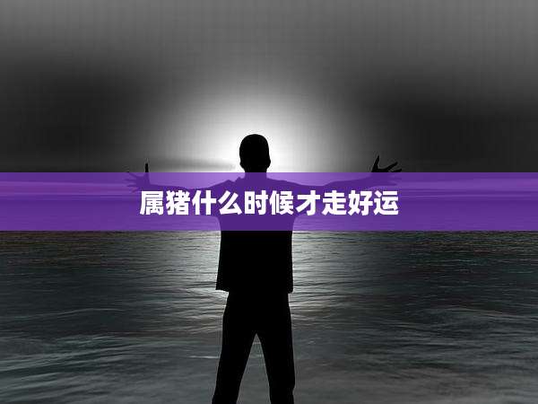 属猪什么时候才走好运