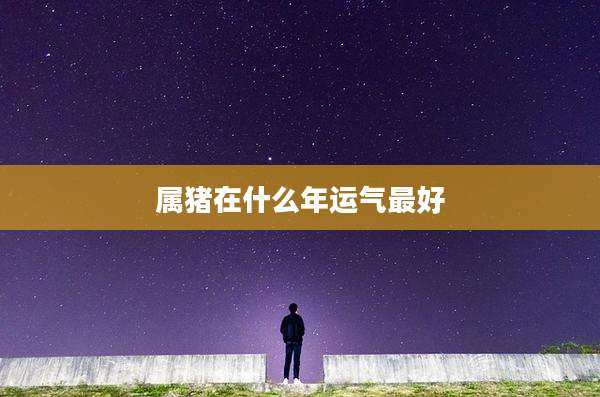 属猪在什么年运气最好