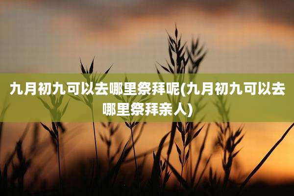 九月初九可以去哪里祭拜呢(九月初九可以去哪里祭拜亲人)