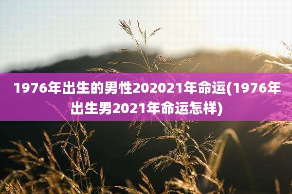 1976年出生的男性202021年命运(1976年出生男2021年命运怎样)