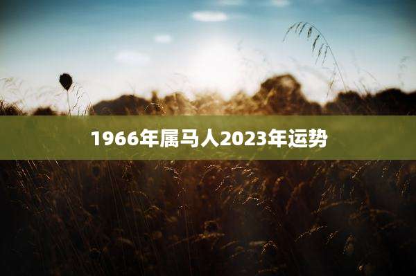 1966年属马人2023年运势
