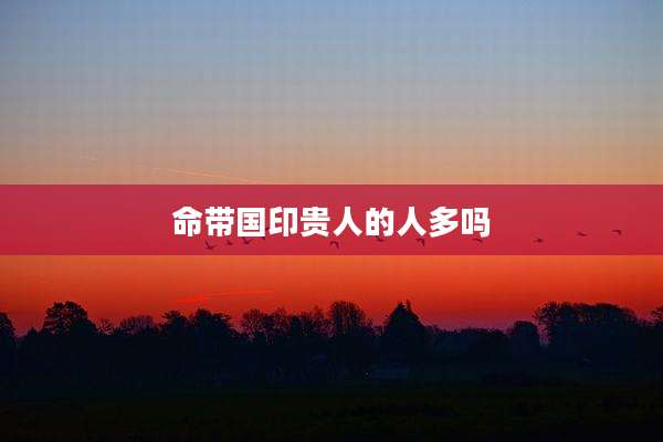 命带国印贵人的人多吗