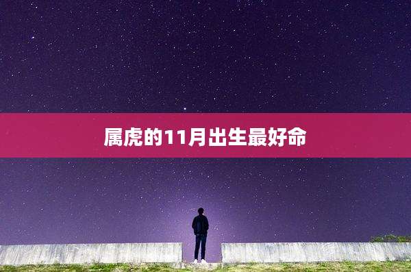 属虎的11月出生最好命