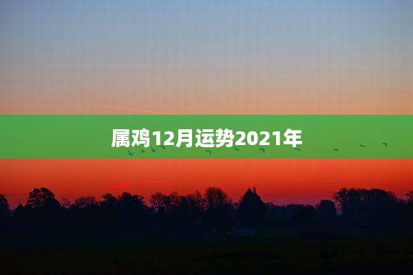 属鸡12月运势2021年