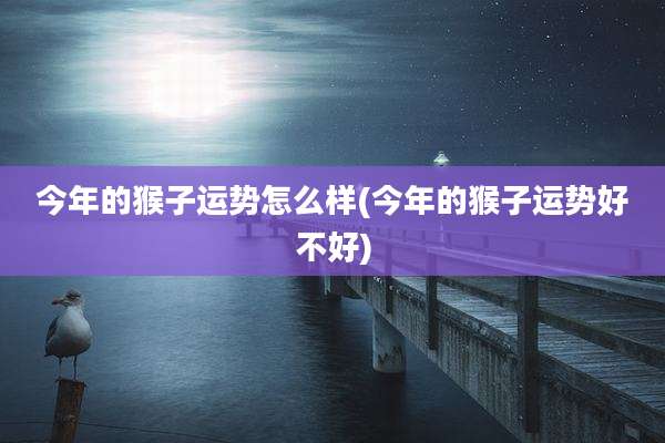 今年的猴子运势怎么样(今年的猴子运势好不好)