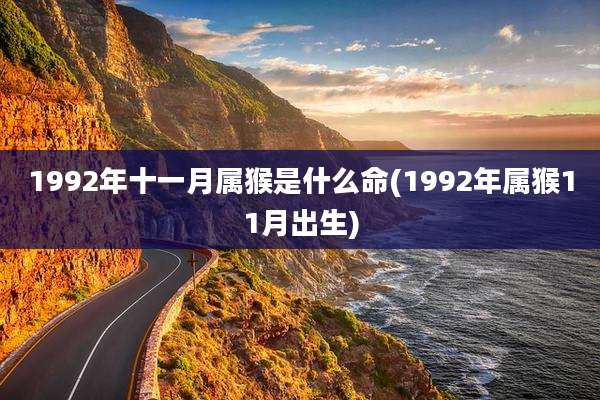 1992年十一月属猴是什么命(1992年属猴11月出生)