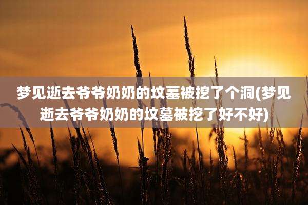 梦见逝去爷爷奶奶的坟墓被挖了个洞(梦见逝去爷爷奶奶的坟墓被挖了好不好)