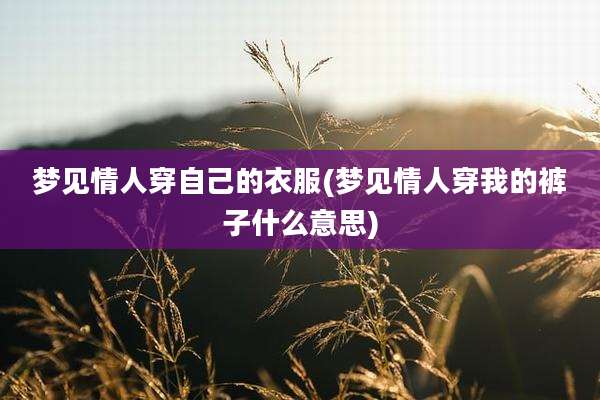 梦见情人穿自己的衣服(梦见情人穿我的裤子什么意思)