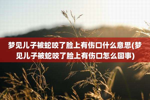 梦见儿子被蛇咬了脸上有伤口什么意思(梦见儿子被蛇咬了脸上有伤口怎么回事)