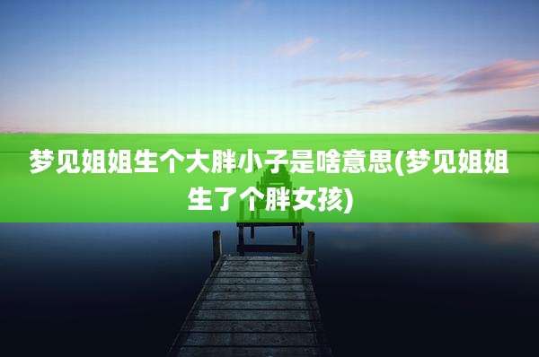 梦见姐姐生个大胖小子是啥意思(梦见姐姐生了个胖女孩)