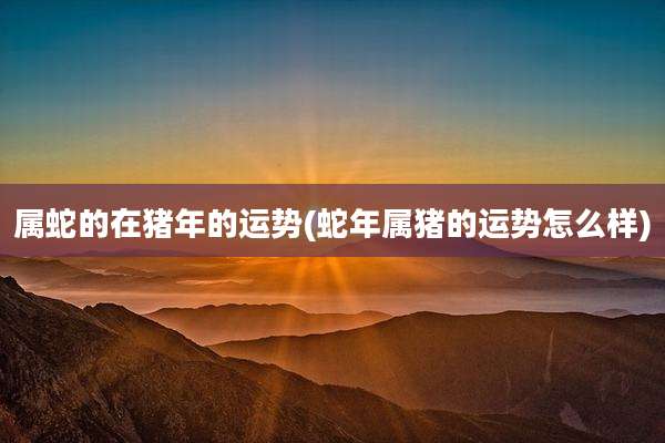 属蛇的在猪年的运势(蛇年属猪的运势怎么样)