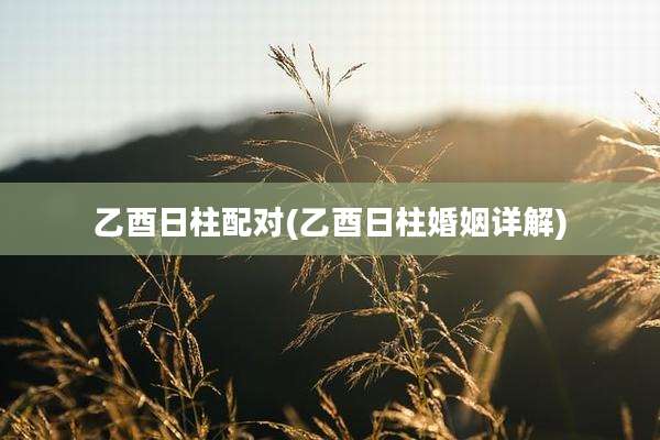 乙酉日柱配对(乙酉日柱婚姻详解)