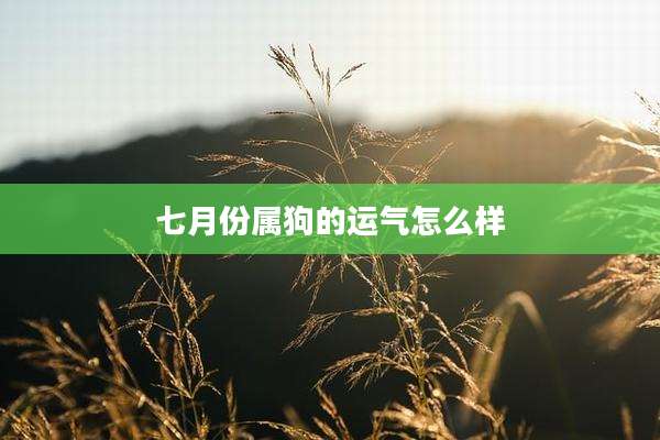 七月份属狗的运气怎么样