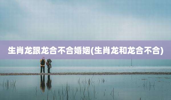生肖龙跟龙合不合婚姻(生肖龙和龙合不合)