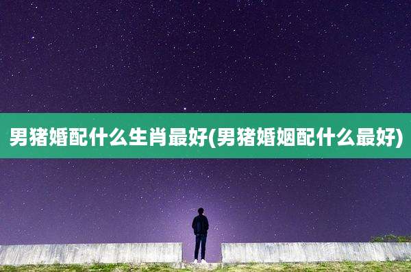 男猪婚配什么生肖最好(男猪婚姻配什么最好)