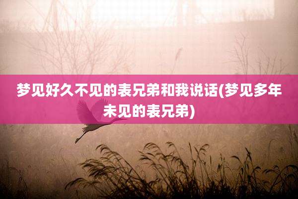 梦见好久不见的表兄弟和我说话(梦见多年未见的表兄弟)